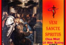 Lễ Chúa Thánh Thần Hiện Xuống, Năm C: Các bài suy niệm & chú giải Lời Chúa