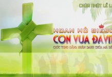 Chúa nhật Lễ Lá, năm A: Các bài suy niệm & chú giải Lời Chúa