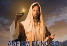 Chúa nhật XII thường niên, năm A: Các bài suy niệm & chú giải Lời Chúa