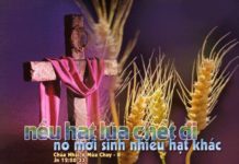 Chúa nhật V mùa Chay, năm B: Các bài suy niệm & chú giải Lời Chúa