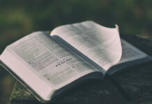 Kinh Thánh là bức thư tình dành cho bạn