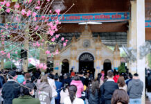 Những ngày vãn Tết … gói một trời tình quê