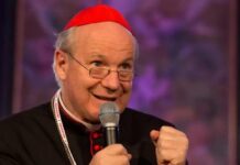 “Hãy trung thành với giáo hoàng”: Một thái độ Công giáo đơn giản và cơ bản