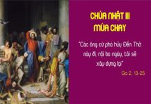Chúa nhật III mùa Chay, năm B: Các bài suy niệm & chú giải Lời Chúa