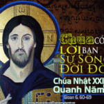 Chúa nhật XXI thường niên, năm B: Các bài suy niệm & chú giải Lời Chúa