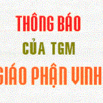Văn phòng TGM Giáo phận Vinh: Thông báo chủng sinh khóa XIV tựu trường