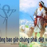 Chúa nhật IV Phục Sinh, năm C: Các bài suy niệm & chú giải Lời Chúa