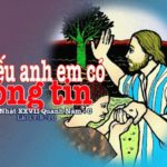 Chúa nhật XXVII thường niên, năm C: Các bài suy niệm & chú giải Lời Chúa