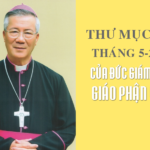 Thư Mục Vụ Tháng Năm 2020 của Đức Giám mục Giáo phận Vinh