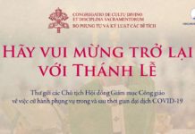 Bộ Phụng tự và Kỷ luật các Bí tích: Hãy vui mừng trở lại với Thánh lễ