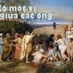 Chúa nhật III mùa Vọng, năm B: Các bài suy niệm & chú giải Lời Chúa