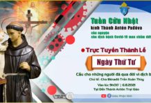 Ngày thứ tư Tuần cửu nhật kính thánh Antôn: Thánh lễ và Kinh nguyện trực tuyến