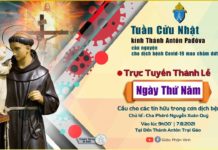 Ngày thứ năm Tuần cửu nhật kính thánh Antôn 7/8/2021: Thánh lễ và Kinh nguyện trực tuyến