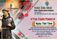 Ngày thứ tám Tuần cửu nhật kính thánh Antôn 10/8/2021: Thánh lễ và Kinh nguyện trực tuyến
