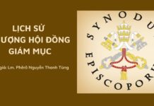 Lịch sử Thượng Hội đồng Giám mục