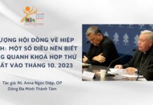 Thượng Hội đồng về hiệp hành: Một số điều nên biết xung quanh khoá họp thứ nhất vào tháng 10. 2023