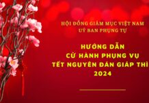Hướng dẫn cử hành phụng vụ Tết Giáp Thìn 2024