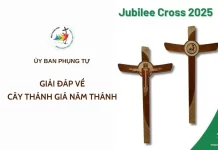 Uỷ ban Phụng tự: Giải đáp về cây Thánh giá Năm thánh