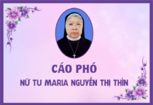Cáo phó: Nữ tu Maria Nguyễn Thị Thìn (Cộng đoàn Lưu Mỹ – Hội dòng Mến Thánh Giá Vinh)