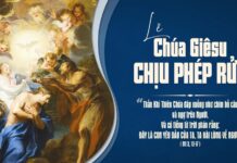 Khi Thiên Chúa cúi xuống