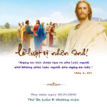 Lề luật vị nhân sinh