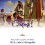 Cái Chạm của lòng tin